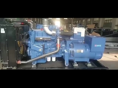 Mengumpulkan Generator Yuchai